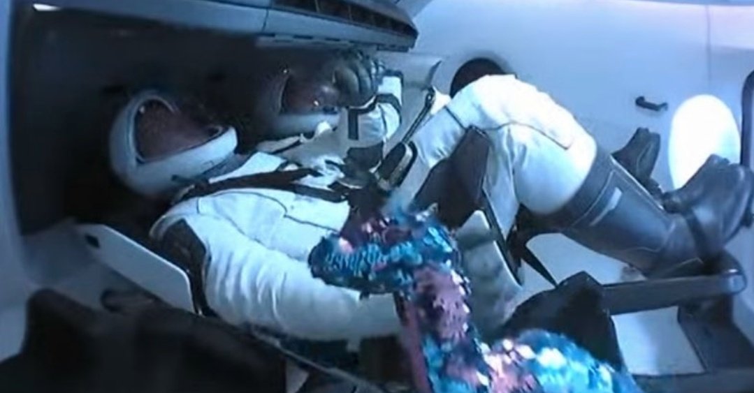 Photo of El tierno e inesperado pasajero en la misión espacial de Space X y la NASA