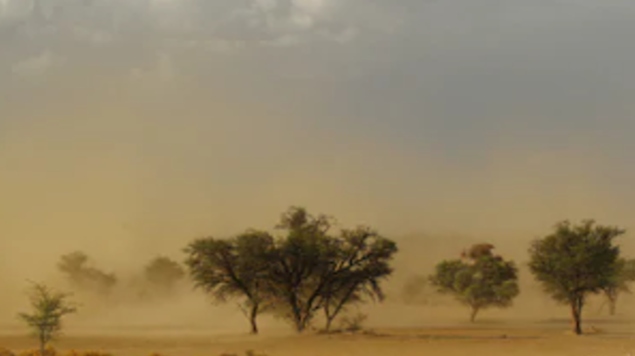Photo of Polvo del Sahara podría invadir América; se aproxima a México