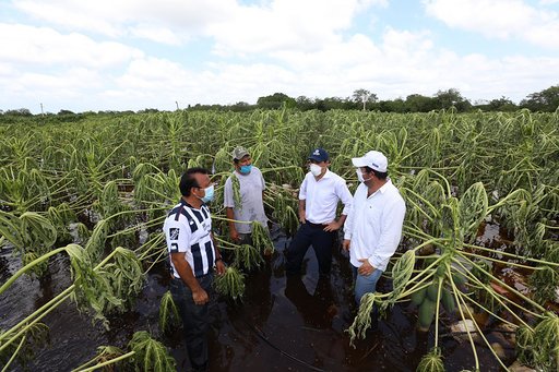 Photo of Yucatán solicita declaratoria de emergencia por “Cristóbal” para otros 38 municipios