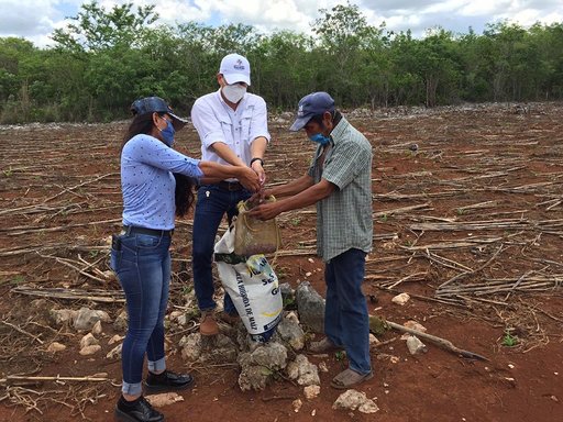 Photo of Inicia la distribución de 6,000 paquetes de semillas de maíz y fertilizantes para impulsar al campo