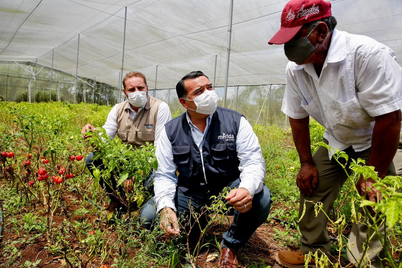 Photo of Renán Barrera entrega apoyos a beneficiarios de “Manos al campo”