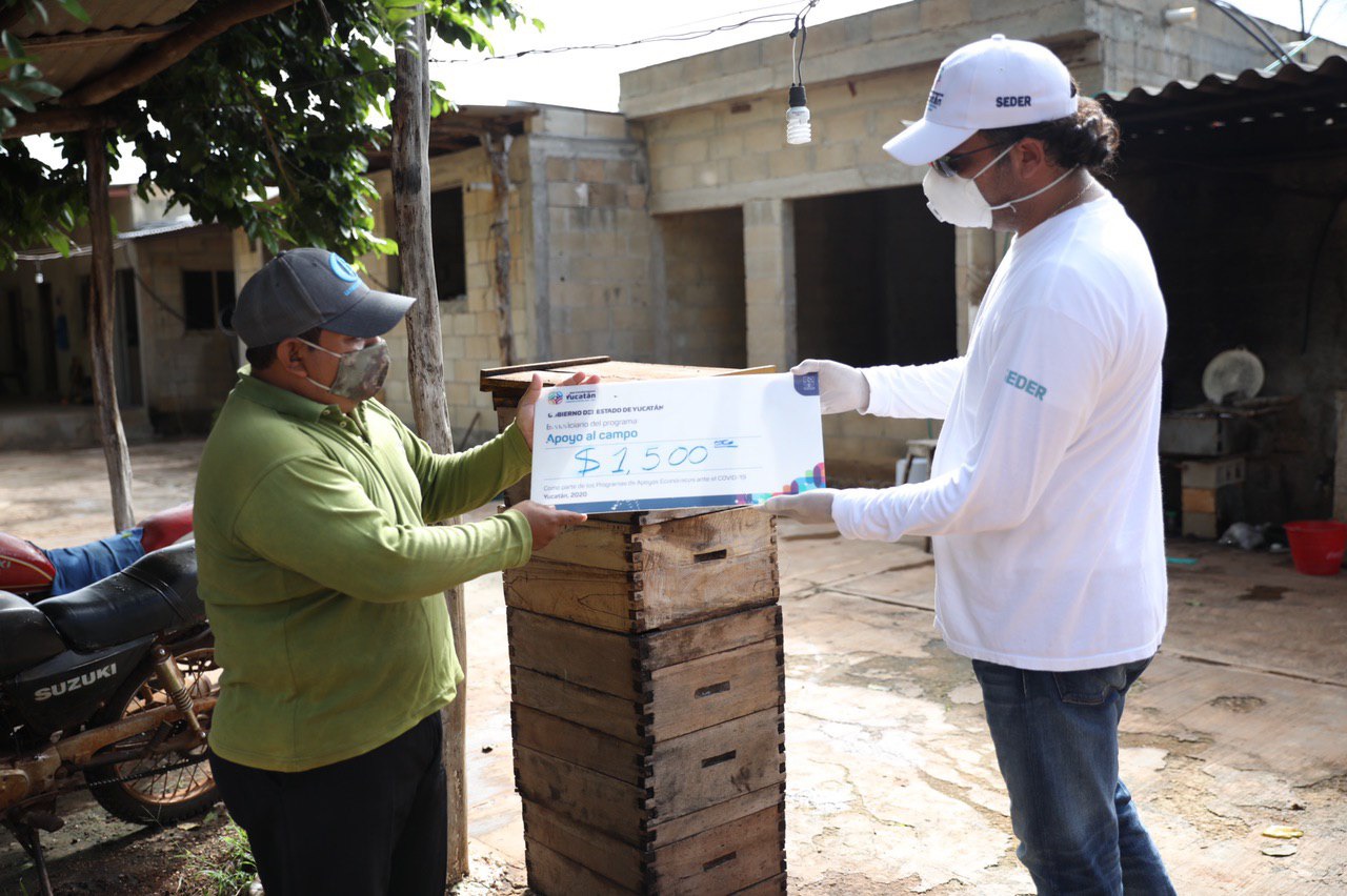 Photo of Vila respalda a los apicultores con la entrega hasta sus domicilios de apoyos