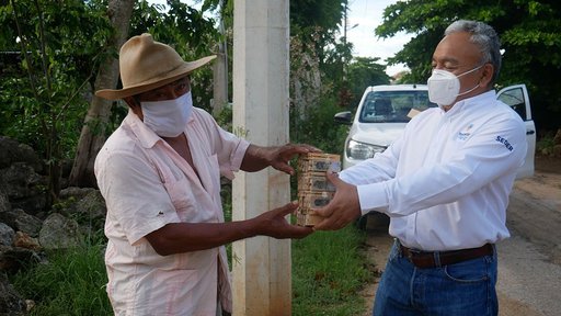 Photo of Mauricio Vila sigue apoyando a los apicultores de Yucatán con abejas reina