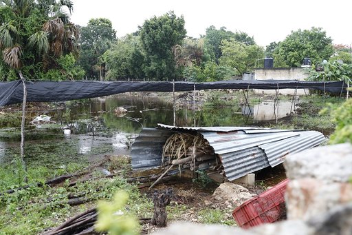 Photo of Autoridades estatales y productores yucatecos recorren zonas de cultivo afectadas por fuertes lluvias