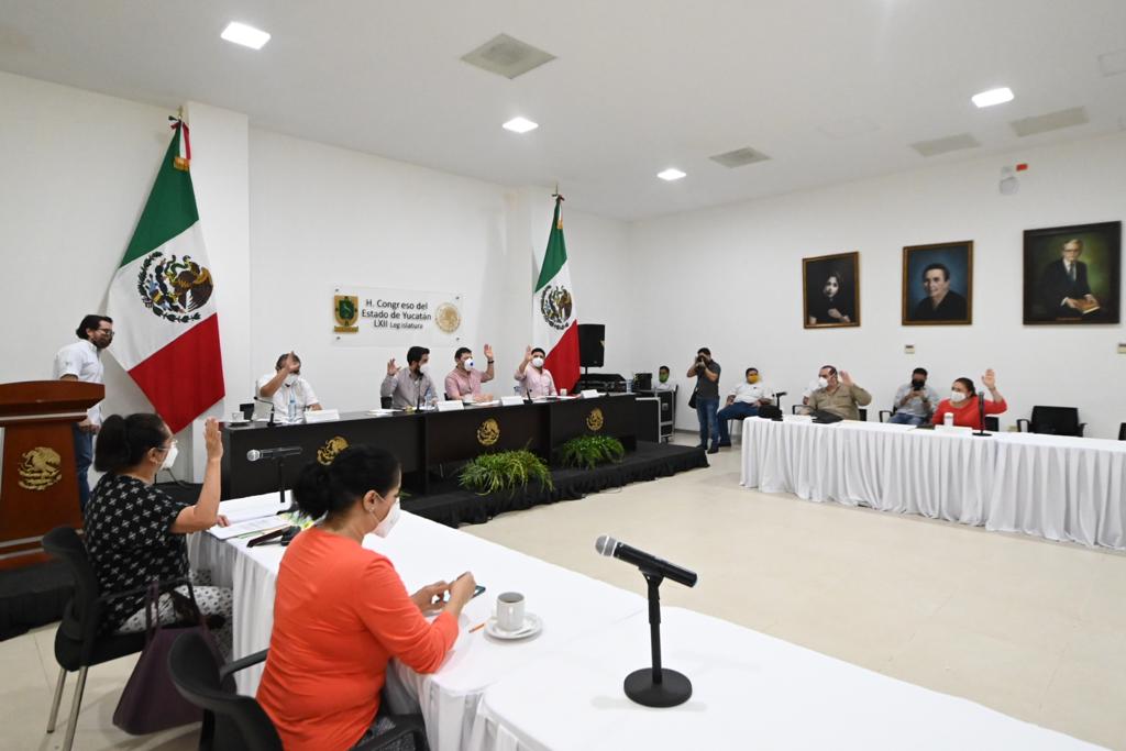 Photo of De 6 meses a 2 años de prisión y de 50 a 100 días multa a quien dañe los arboles urbanos en Yucatán
