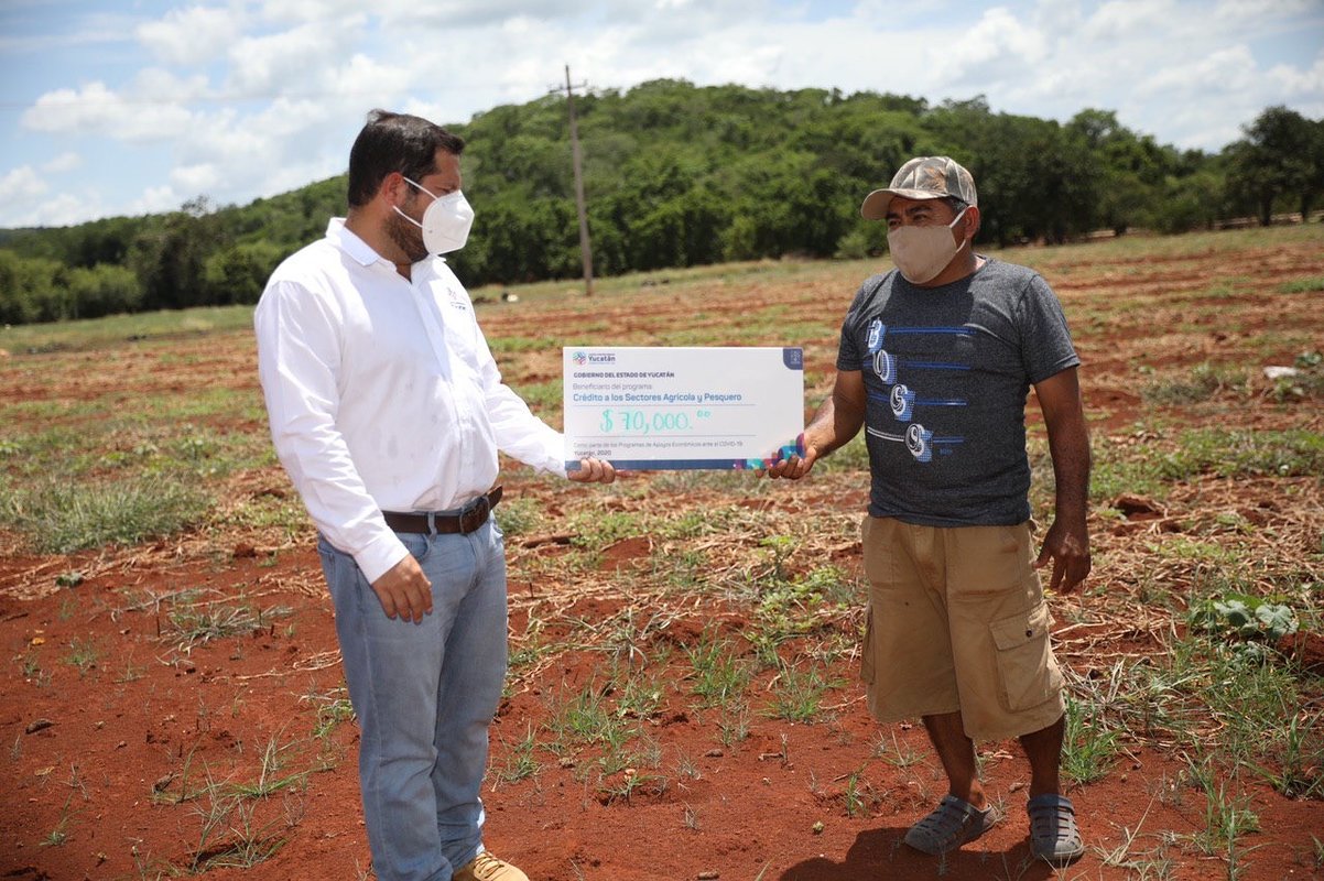 Photo of Gobierno entregó más de 3.5 mdp en créditos para el campo yucateco