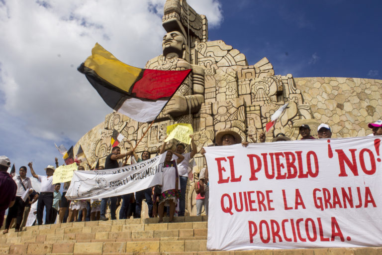 Photo of Alcalde de Homún y empresa porcícola se desisten de sus recursos ante la Suprema Corte