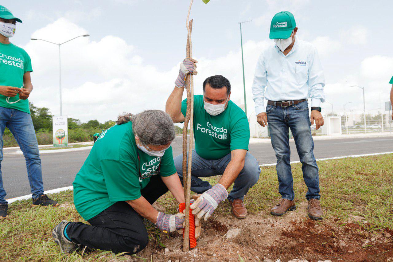 Photo of Arranca la Cruzada Forestal 2020: la meta 20,000 árboles a plantar