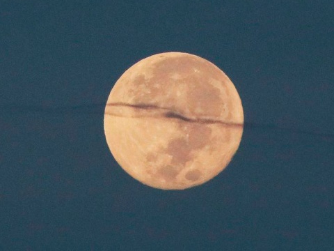 Photo of No olvides mirar al cielo habrá ‘beso’ entre la luna y Marte