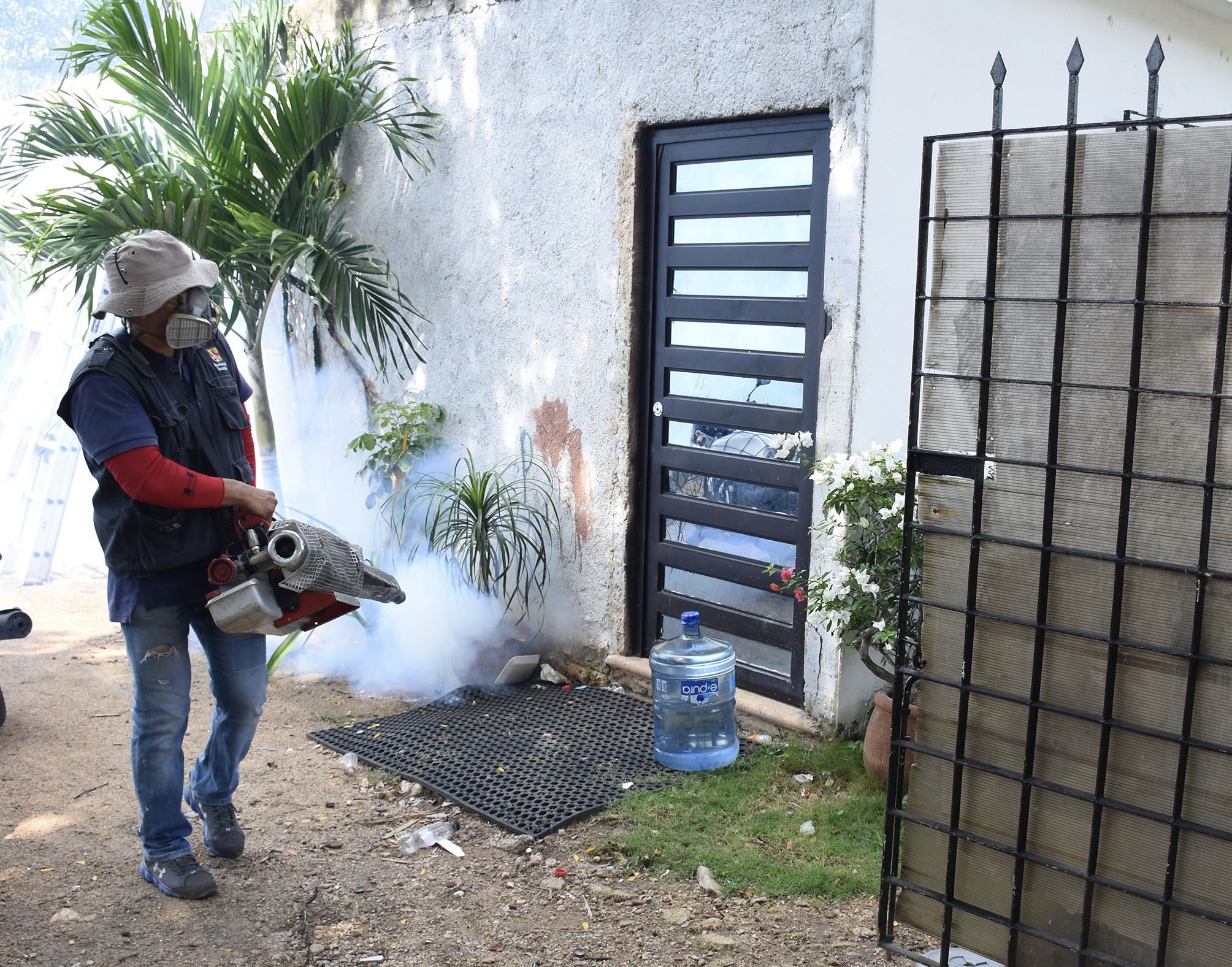 Photo of Yucatán combate al dengue sin tregua