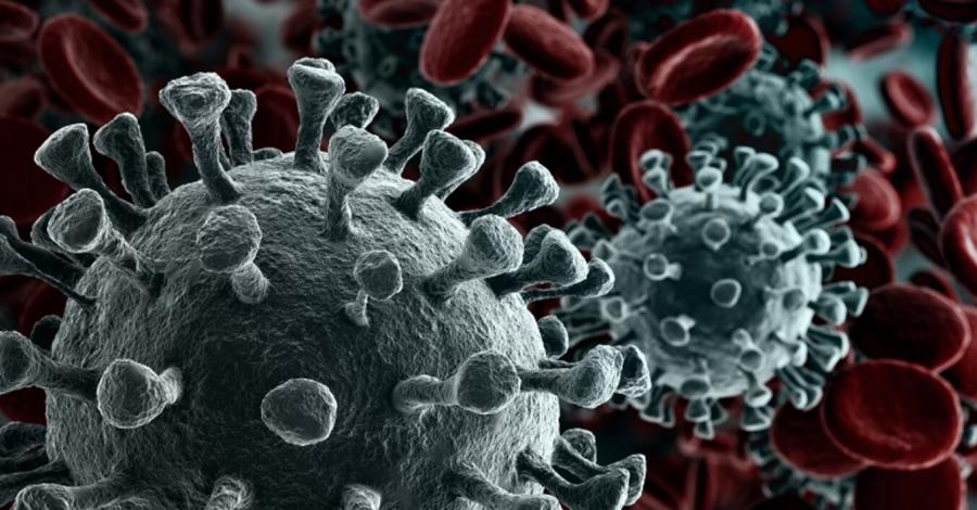 Photo of El virus del Covid-19 está volviendo a los niveles de marzo, alerta la Comisión Europea