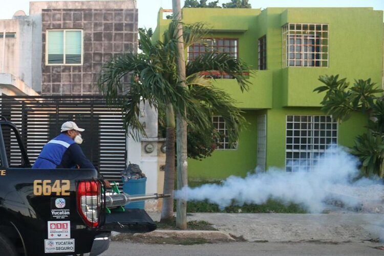 Photo of Fumigación contra el dengue  por aire y tierra desde este lunes