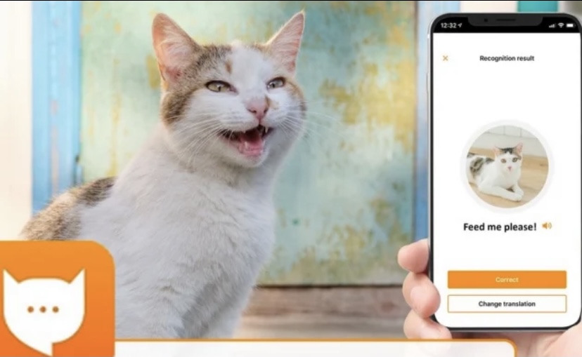 Photo of La aplicación que puede traducir los maullidos de tu gato