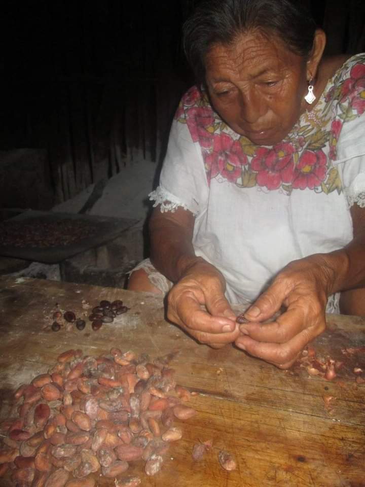 Photo of Abuelita de Tekax continúa la tradición del chocolate artesanal