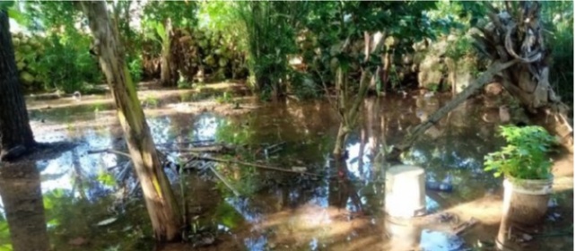 Photo of A punto de inundarse hogar de abuelita en Tekax