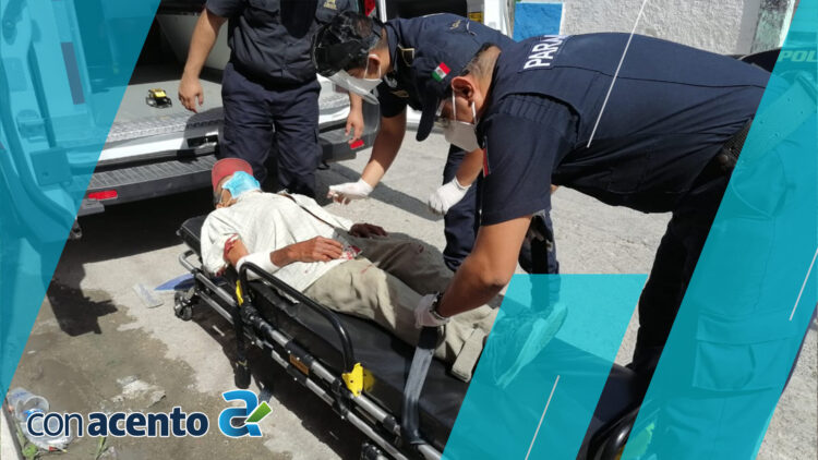Photo of Perros Rottweiler atacan a abuelito en Mérida