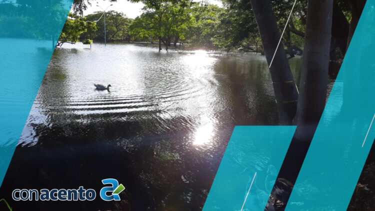 Photo of Surge un nuevo atractivo en Mérida, el «Lago» Ecológico del Poniente
