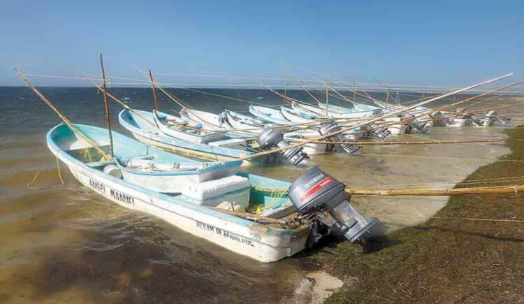 Photo of Cierran puertos a la navegación menor por la entrada del FF 13