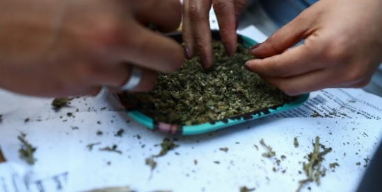 Photo of Jóvenes yucatecos formarían una Cooperativa para fabricar productos de marihuana