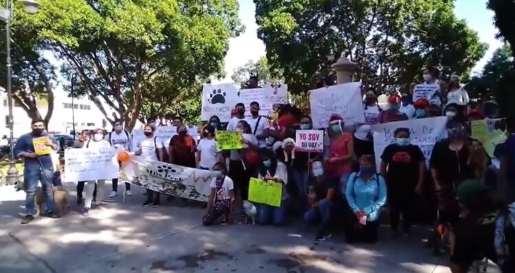 Photo of Protestan contra el maltrato animal en Mérida
