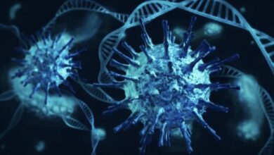 Photo of OMS destaca importancia de secuenciar el coronavirus ante nuevas cepas