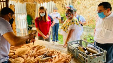 Photo of Abre sus puertas «En Nah, Museo de las Artesanías», un concepto innovador en Mérida