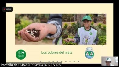 Photo of Ayuntamiento realiza acciones a favor del medioambiente