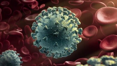 Photo of Identifican en Tamaulipas un caso de la nueva cepa de coronavirus