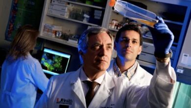 Photo of Células madre de tejido umbilical prometen reparación de daños por COVID-19