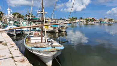 Photo of Pescadores recibirán apoyo por veda del mero a domicilio y sin trabajo comunitario para evitar riesgo de contagio