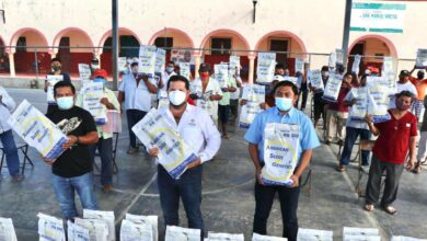 Photo of Inicia entrega de 2,400 paquetes de semillas de frijol a pequeños productores yucatecos