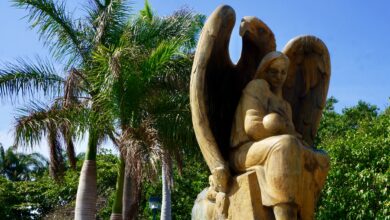 Photo of IMSS Yucatán llama a la población a cuidar el corazón para tener buena salud