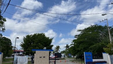 Photo of Hoy arriban a la Base Aérea Militar 8, el primer embarque de 10,725 vacunas anticovid a Yucatán