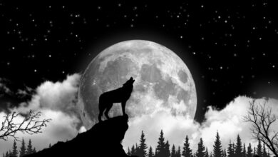 Photo of Hoy habrá «Luna del Lobo» y así podrás verla