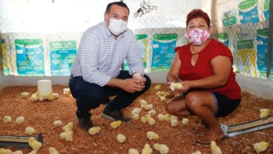 Photo of Ayuntamiento mantiene el apoyo al sector rural ante la pandemia