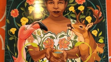 Photo of Artista yucateco ilustra portada de la SEP