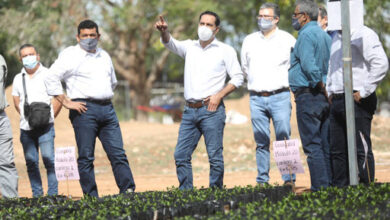 Photo of Supervisa Mauricio Vila producción de plantas para el programa Sembrando Vida