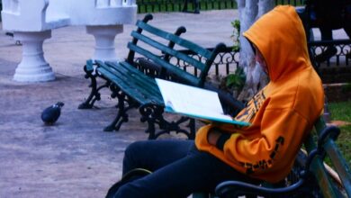 Photo of Temporada invernal 2020-2021 en Yucatán, la más activa desde 1998