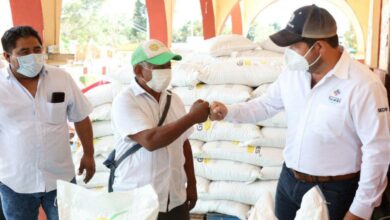 Photo of Apoyan a productores de miel en su recuperación