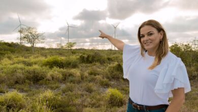 Photo of Cecilia Patrón impulsará energías limpias ante aprobación de Reforma Eléctrica