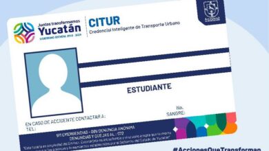 Photo of Extienden vigencia de las credenciales para camión