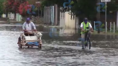 Photo of Ayuntamiento perforará más pozos ante inundaciones