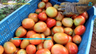 Photo of FAMILIA TOMATERA CON 40 AÑOS DE TRADICIÓN Y APOYANDO EN LA PANDEMIA 