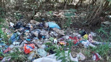 Photo of Iniciativa privada y municipio, unirán fuerzas para limpiar y recuperar espacios públicos en Tekax