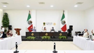 Photo of Aprueban en Comisión reformas para impulsar la Apicultura