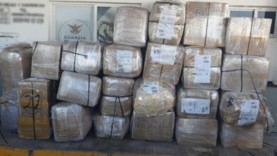 Photo of Asegura la Guardia Nacional mercancía pirata en Yucatán
