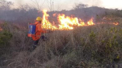 Photo of Llama Procivy a la sociedad yucateca contribuir a la prevención y control de incendios