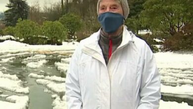 Photo of Abuelita de 90 años caminó 10 km en la nieve para recibir vacuna contra Covid-19
