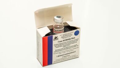 Photo of Cofepris autoriza uso de la vacuna Sputnik V