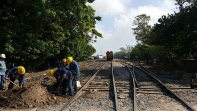 Photo of Tres nuevos amparos contra obras del Tren Maya; temen más desacatos